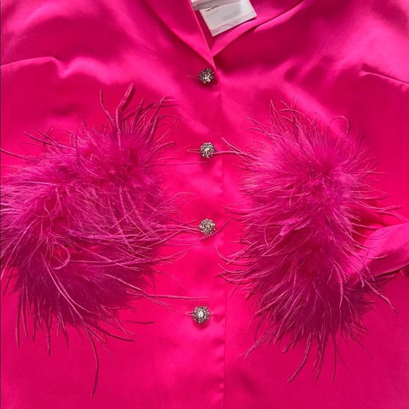 Gorgeous NADINE MERABI Taylor feather blouse w/rhinestone buttons. - Picture 12 of 13